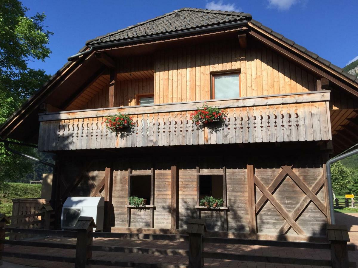 Apartment Markic Bohinj